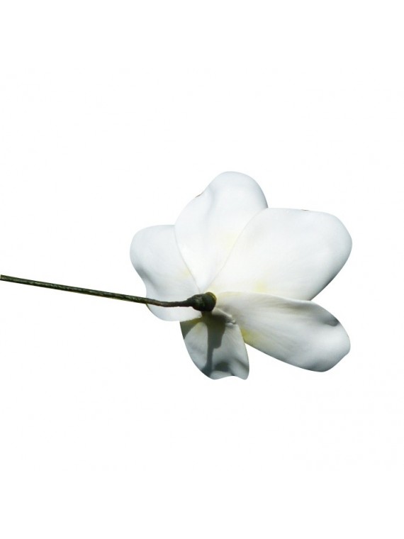 FLEURS DE FRANGIPANE AVEC PERLE