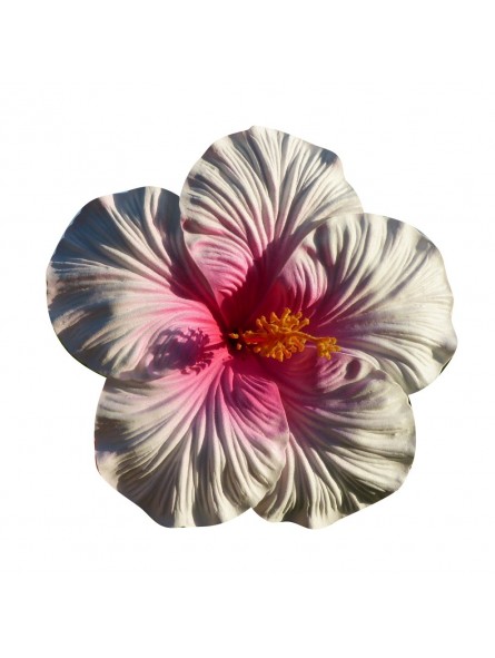 Très grosse barrette à cheveux Hibiscus Très grosse barrette à cheveux Hibiscus