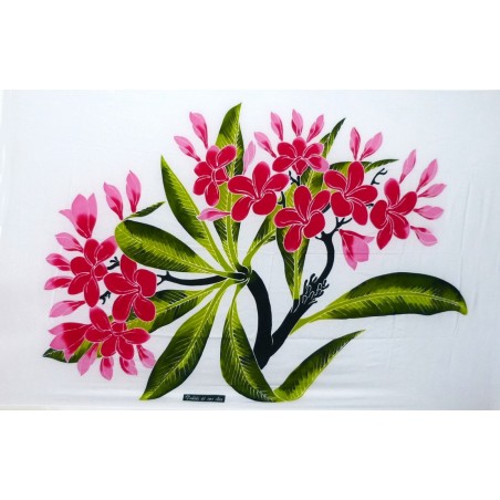 Paréos frangipanes sur branche