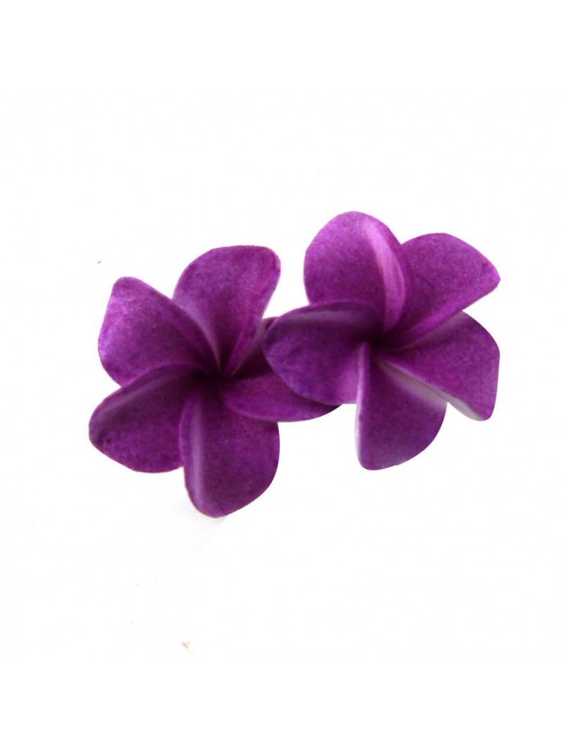 PETITE BOUCLE D'OREILLE frangipane viollette