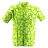 Chemise Hawaïenne Garçon petite tiaré vert