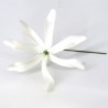 FLEUR DE TIARÉ 12 cm SUR TIGE METAL