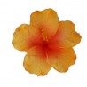 Barrette à cheveux Hibiscus