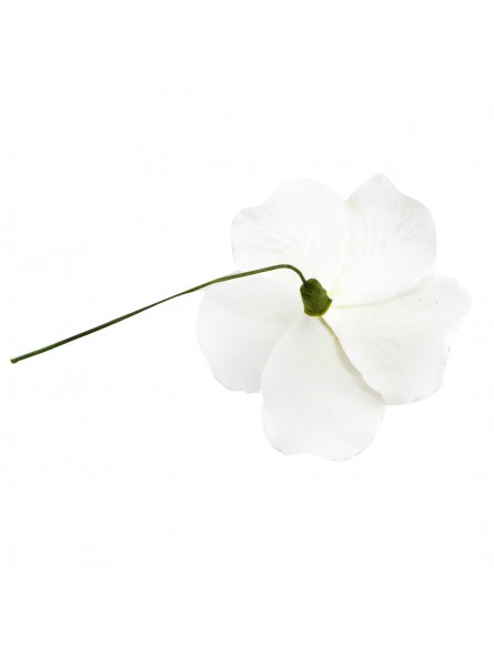 Hibiscus blanc et vert sur tige métal