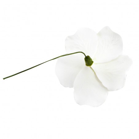 Hibiscus blanc et vert sur tige métal