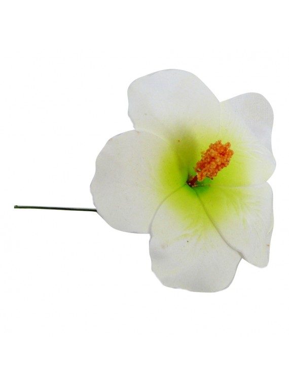 Hibiscus blanc et vert sur tige métal