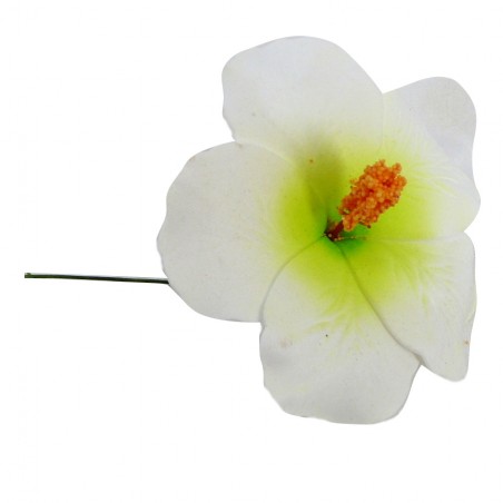Hibiscus blanc et vert sur tige métal