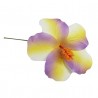 Hibiscus marbré violet jaune sur tige métal