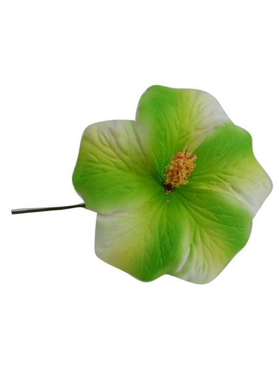 Hibiscus marbré vert sur tige métal