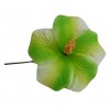 Hibiscus marbré vert sur tige métal
