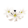 3 petites fleurs de tiaré monté sur coussinet en velour