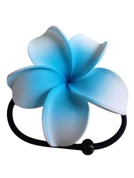 Elastique à cheveux frangipane blanc et bleu