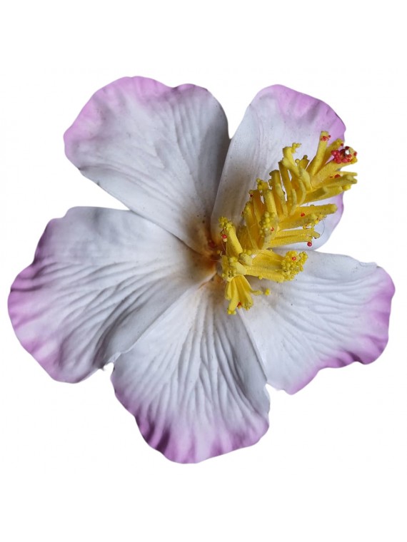 Barrette à cheveux Hibiscus BLANC VIOLET gros pistil