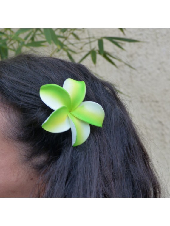 Barrette à cheveux frangipane