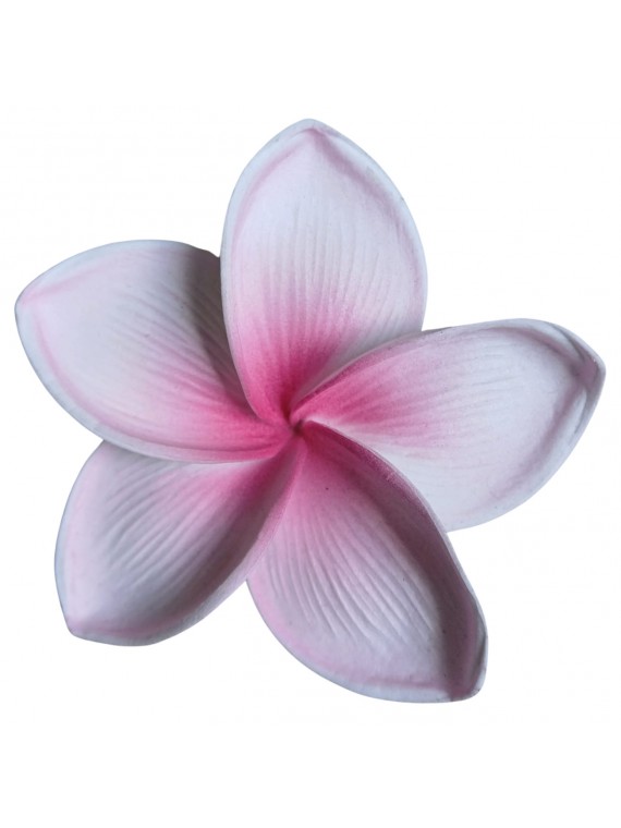 Barrette à cheveux Premium fleurs rose