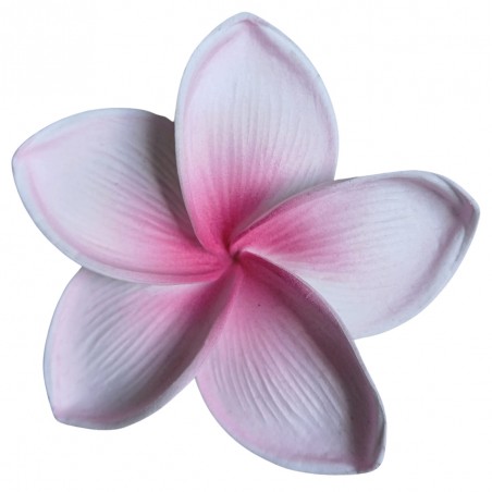 Barrette à cheveux Premium fleurs rose