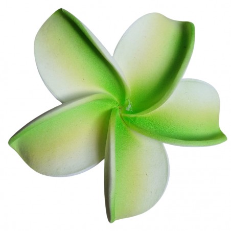 Barrette à cheveux frangipane vert claire