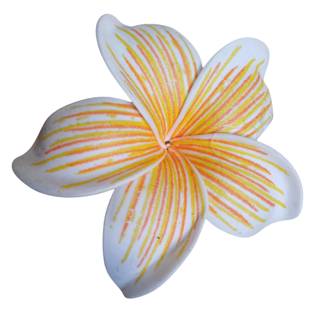 Barrette à cheveux frangipane nervurée jaune orangé