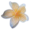 Barrette à cheveux frangipane nervurée jaune orangé