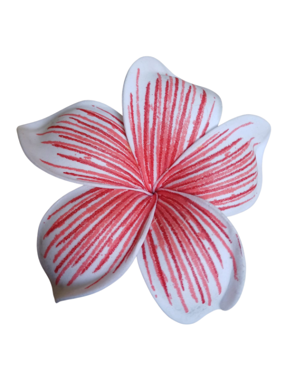 Barrette à cheveux frangipane nervurée rouge