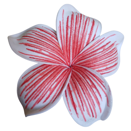 Barrette à cheveux frangipane nervurée rouge