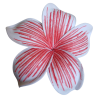 Barrette à cheveux frangipane nervurée rouge