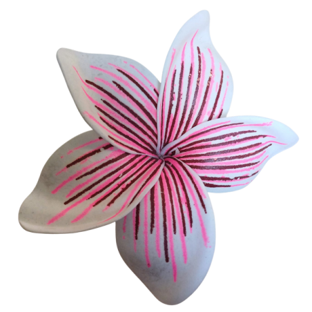 Barrette à cheveux frangipane nervurée rose