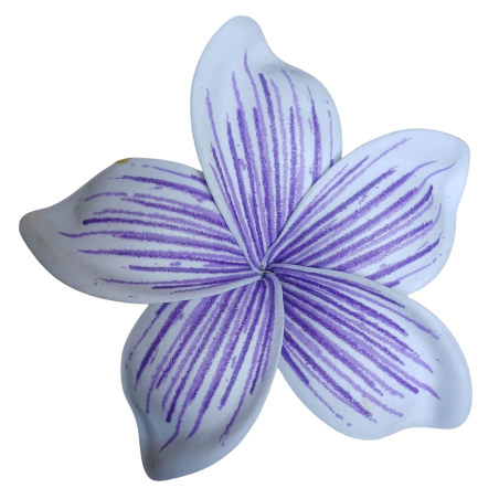 Barrette à cheveux frangipane nervurée violette