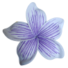 Barrette à cheveux frangipane nervurée violette