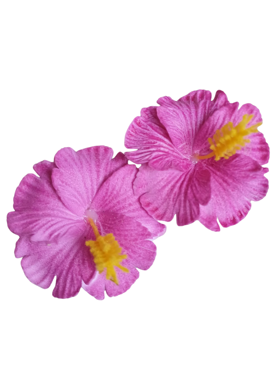 Paire de mini barrette à cheveux hibiscus rose