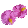 Paire de mini barrette à cheveux hibiscus rose
