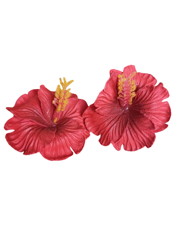 Paire de barrette à cheveux hibiscus rouge
