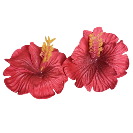 Paire de barrette à cheveux hibiscus rouge