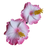 paire de mini barrette à cheveux hibiscus rose et blanc