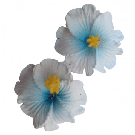 Paire de mini barrette à cheveux hibiscus blanc et bleu