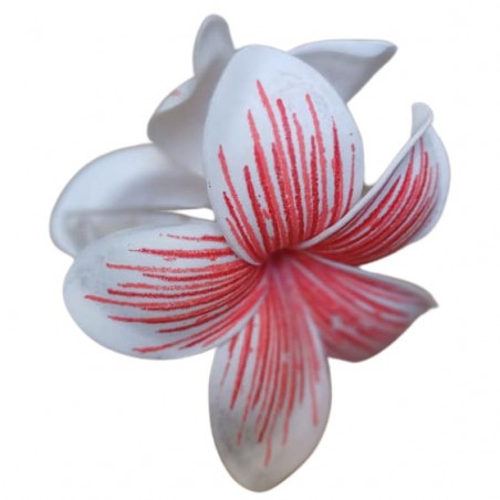 Pinces à cheveux croco frangipane nervurée rouge