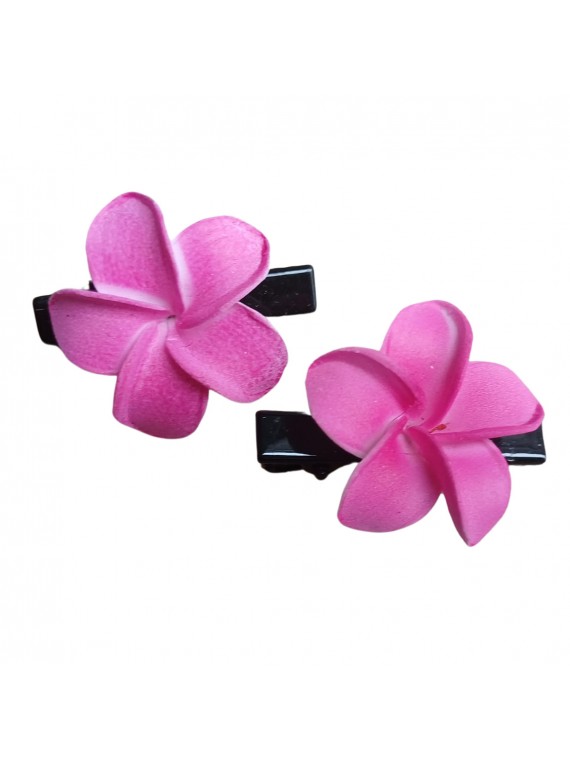 Paire pince croco  à cheveux  3.50 cm frangipane fushia