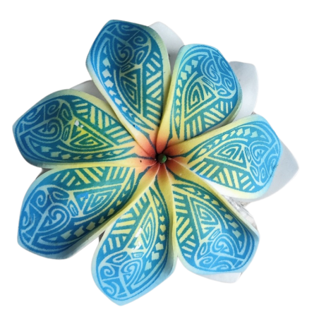 Pinces à cheveux croco orange fleurs Tatouage Maori