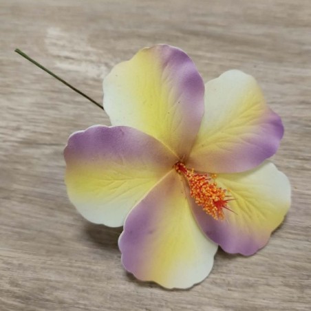Hibiscus marbré violet jaune sur tige métal