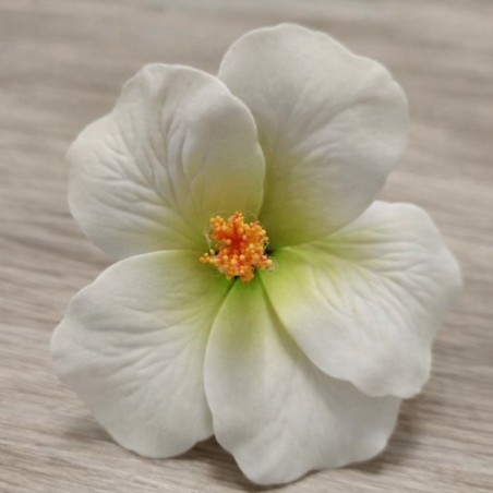 Hibiscus blanc et vert sur tige métal