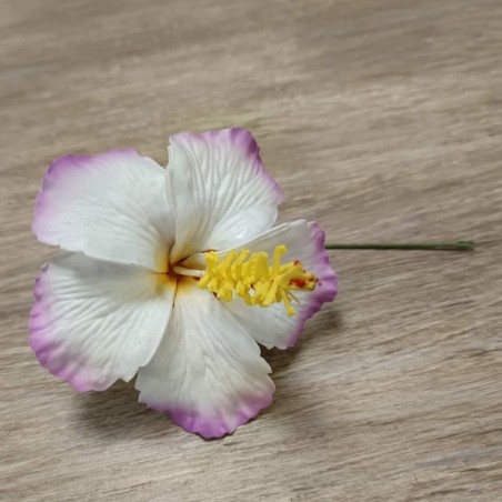 TIGE HIBISCUS BLANC VIOLET GROS PISTIL