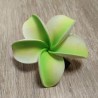 Barrette à cheveux frangipane vert claire