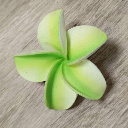 Barrette à cheveux frangipane vert claire