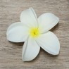 Barrette à cheveux frangipane blanche