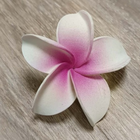 Barrette à cheveux frangipane coeur rose