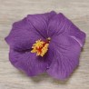Barrette à cheveux Hibiscus Violet