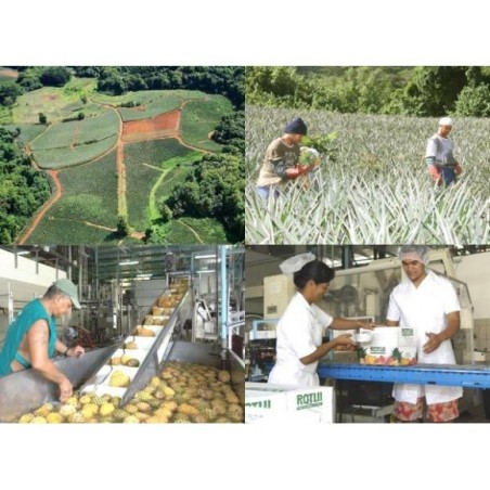 Jus Rotui Banane Vanille – 100% Naturel de Tahiti | Produit Pacifique