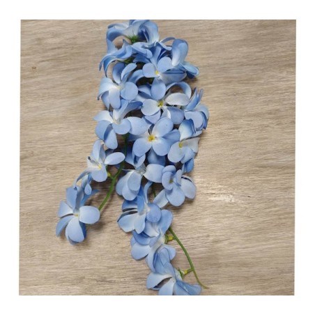 Grappe de fleurs bleu