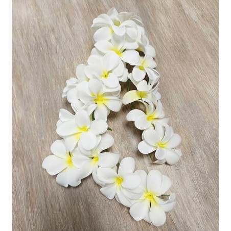 Grappe de fleurs blanches