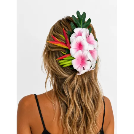Poara 23 cm - 6 FRANGIPANES roses